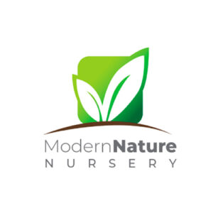 Modern Nature Nursery